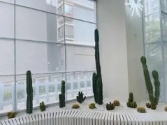 绿植租摆、花卉租摆、园林绿化工程，园林设计，花园改造