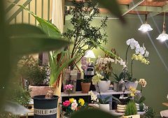 花店出租 带阁楼 地铁口150米