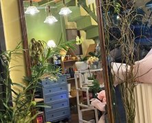 花店出租 带阁楼 地铁口150米