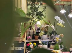 花店出租 带阁楼 地铁口150米